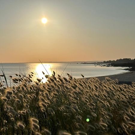 Les Suites De Bougainville Concarneau Εξωτερικό φωτογραφία