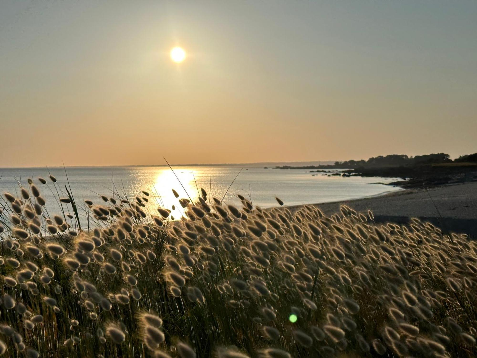 Les Suites De Bougainville Concarneau Εξωτερικό φωτογραφία